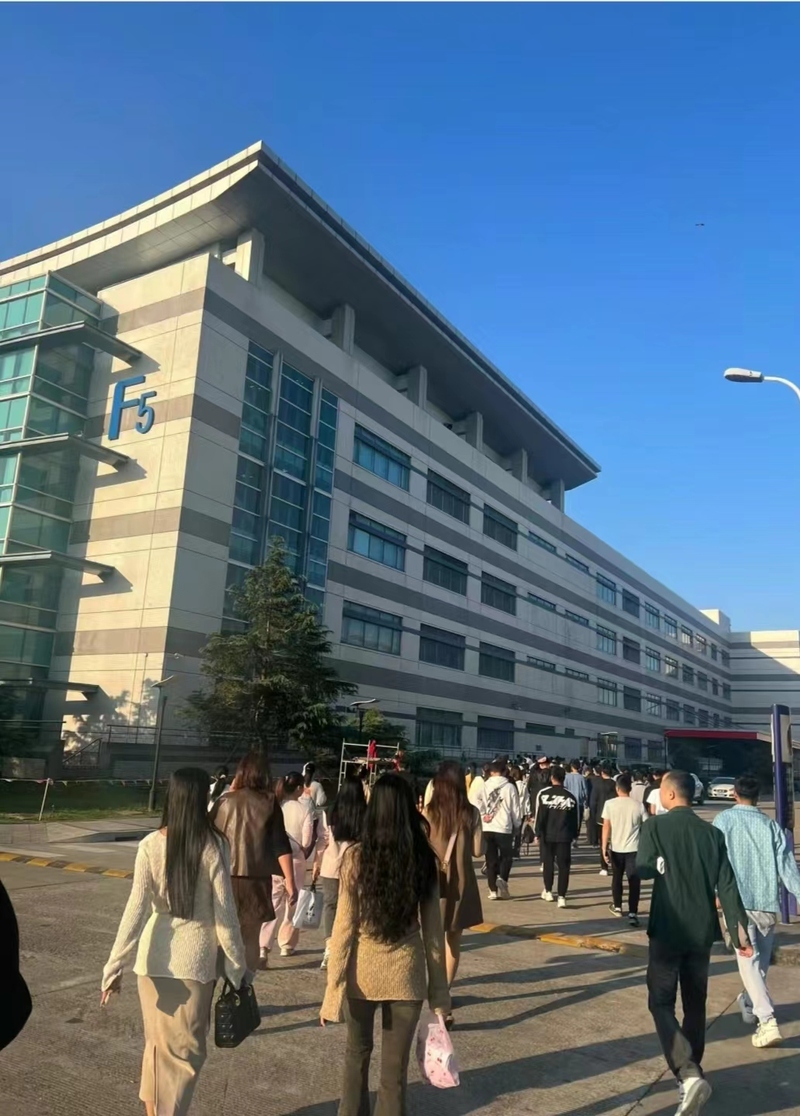 鱼泡网
