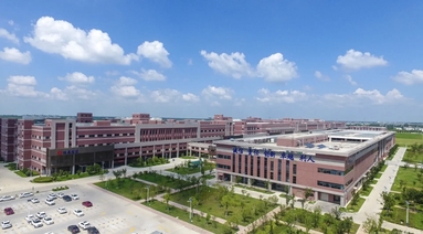 鱼泡网