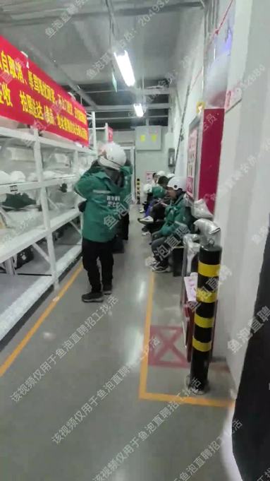 鱼泡网