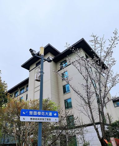 鱼泡网