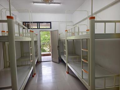 鱼泡网