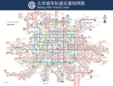 鱼泡网