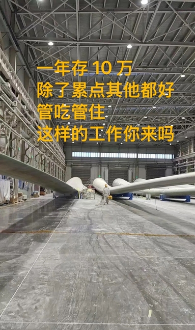 鱼泡网