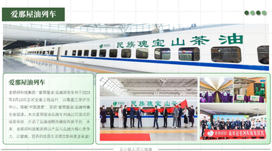 鱼泡网