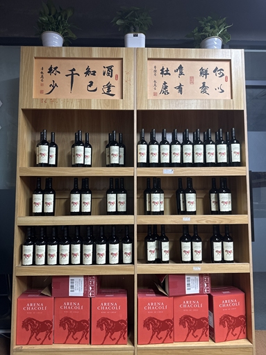 魚泡網