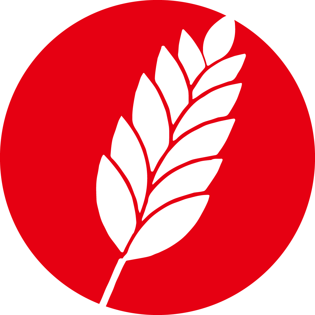魚泡網(wǎng)