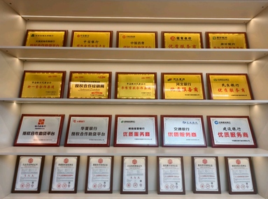 鱼泡网