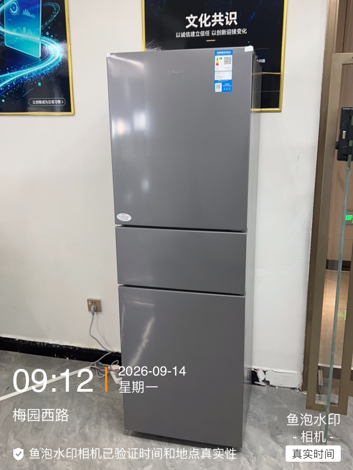 鱼泡网