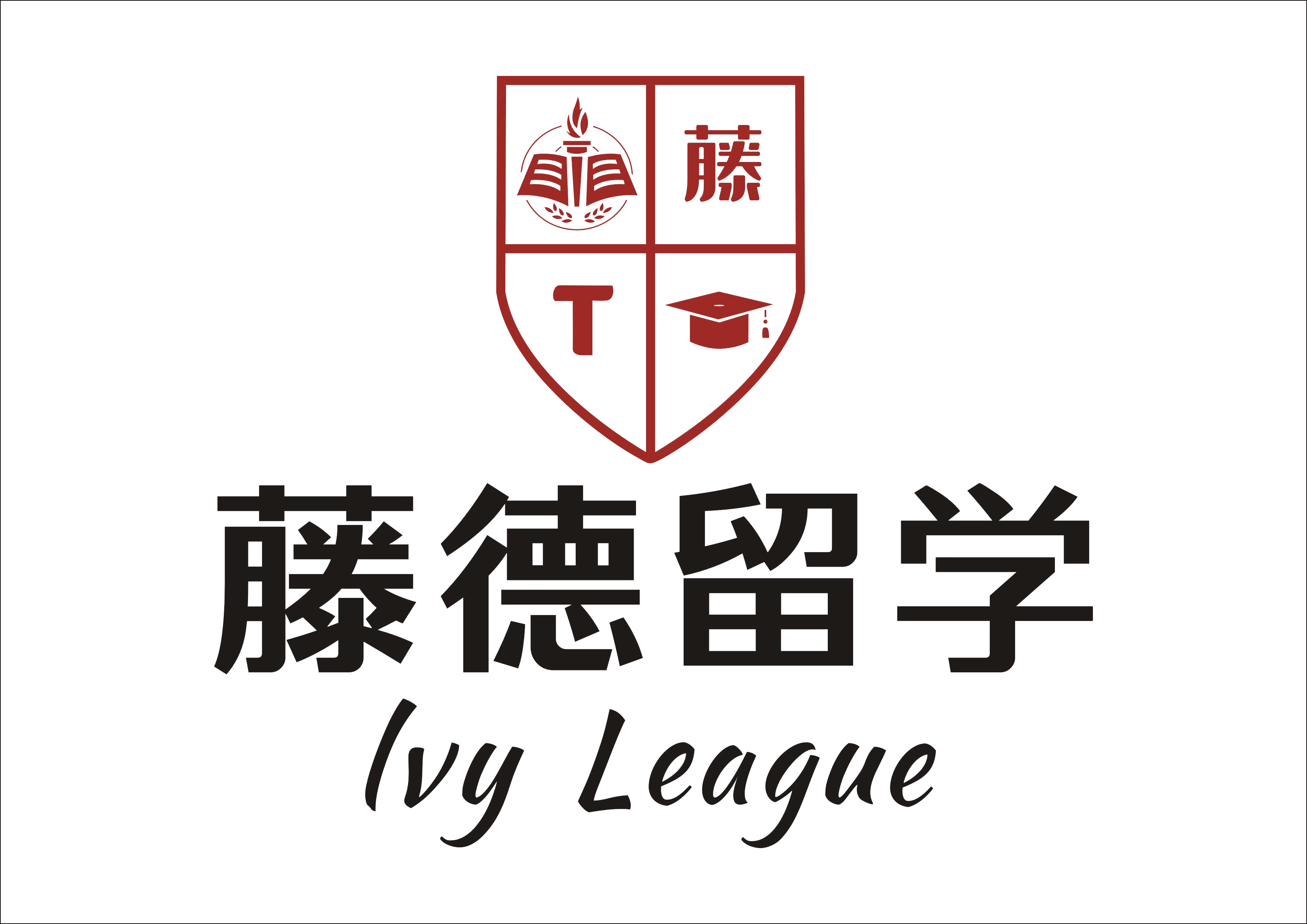 魚泡網(wǎng)