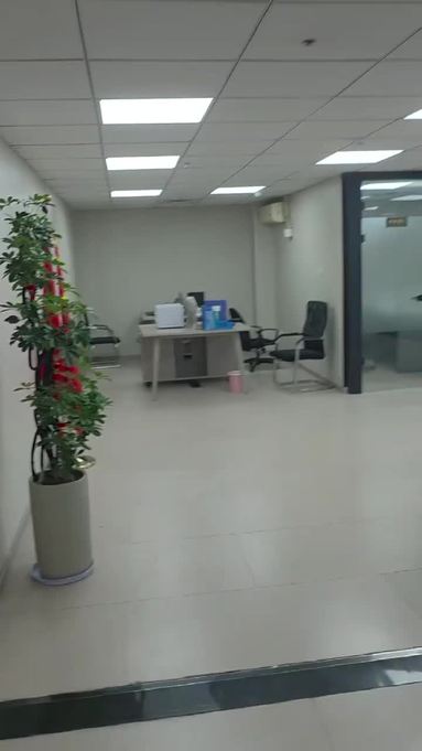 公司环境
