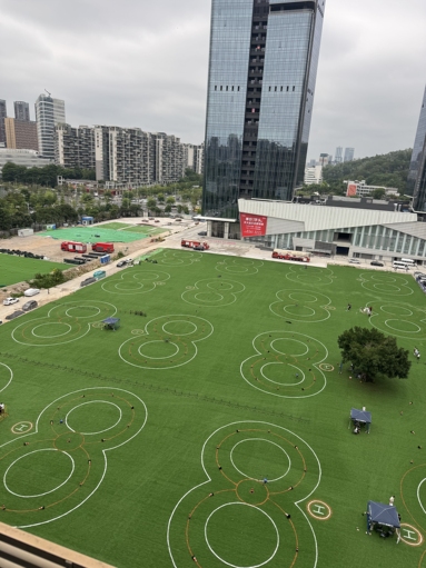 魚泡網