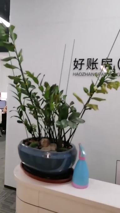 鱼泡网