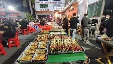 鱼泡网