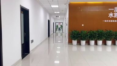 鱼泡网