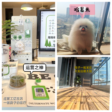 魚泡網(wǎng)