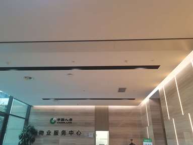 鱼泡网