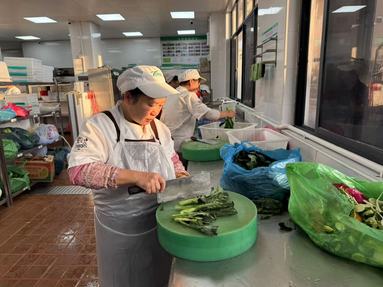 魚泡網(wǎng)