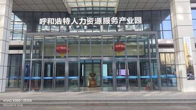 鱼泡网