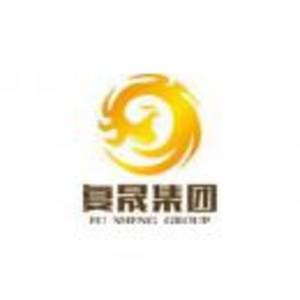魚泡網(wǎng)
