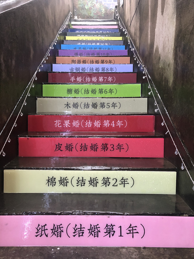 鱼泡网