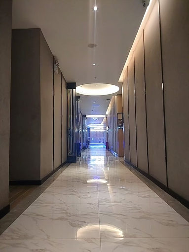 鱼泡网