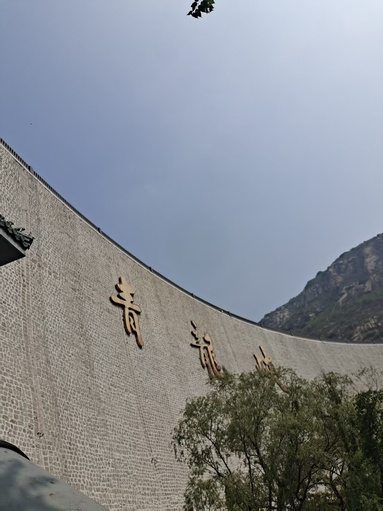 鱼泡网