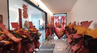 鱼泡网
