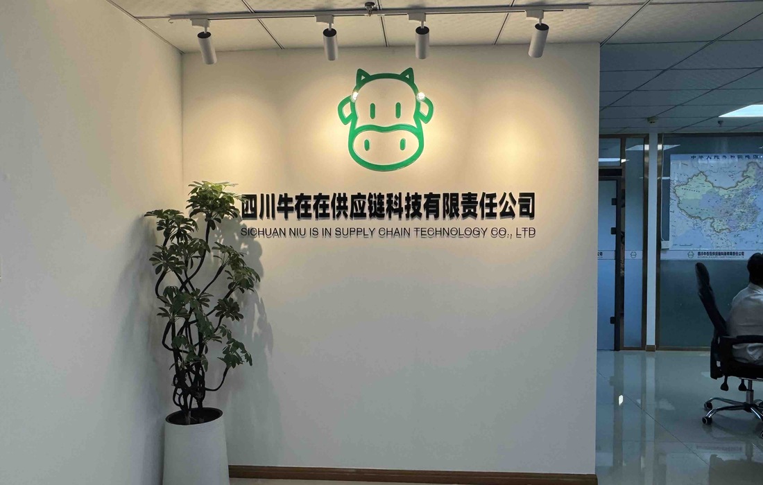 鱼泡网