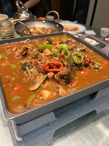 魚泡網