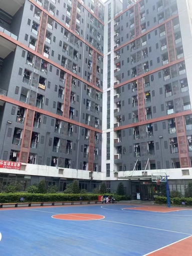 魚泡網