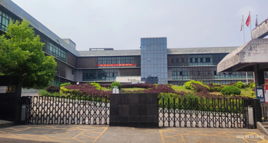 鱼泡网