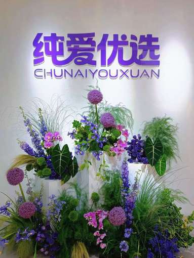 鱼泡网