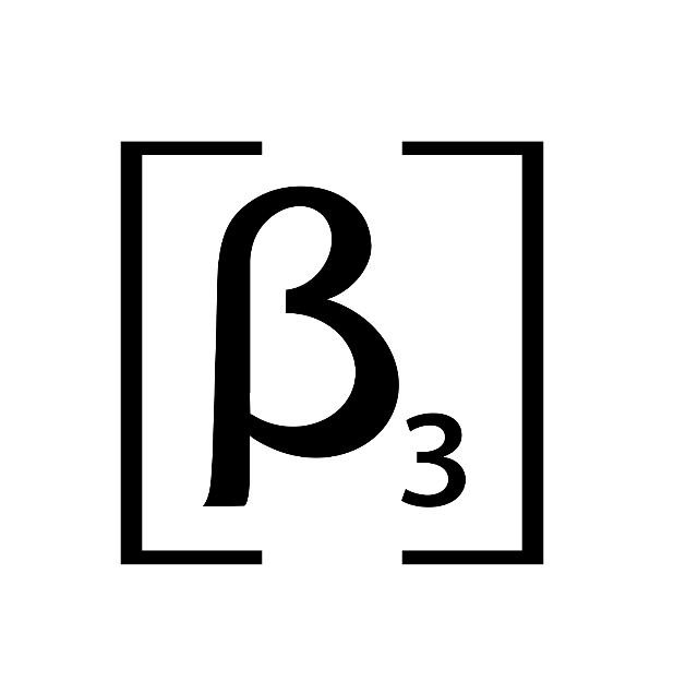 魚泡網(wǎng)