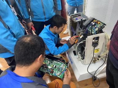 鱼泡网
