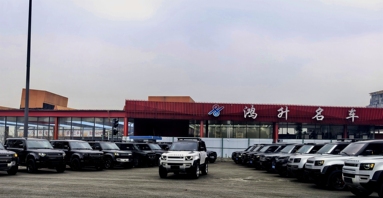 鱼泡网