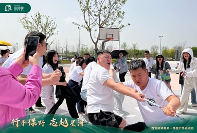 鱼泡网
