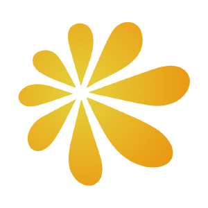 魚泡網(wǎng)