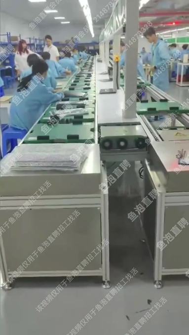 鱼泡网