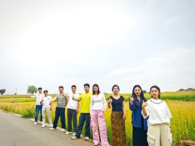 鱼泡网