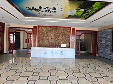 鱼泡网
