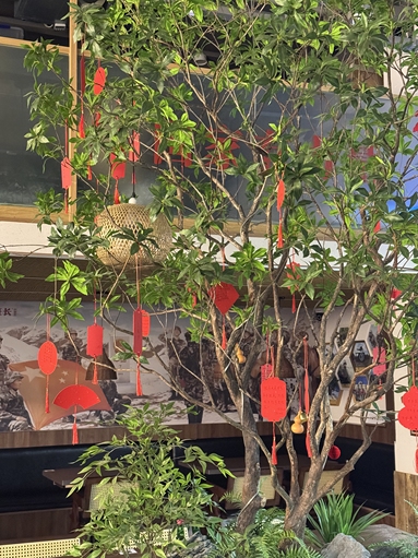 鱼泡网
