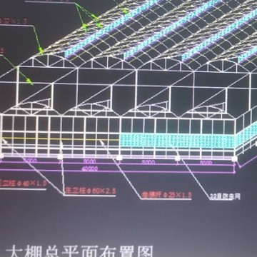魚泡網