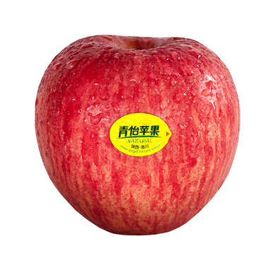 魚泡網(wǎng)