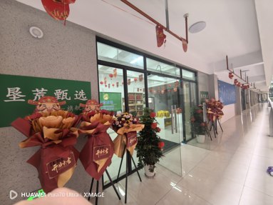 鱼泡网