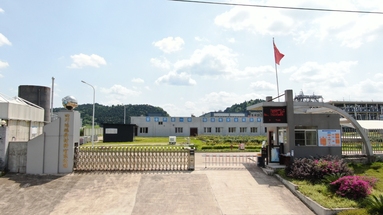 魚泡網(wǎng)