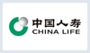 中国人寿电子商务有限公司