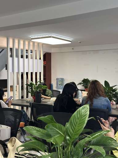 鱼泡网