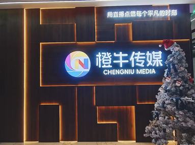 鱼泡网