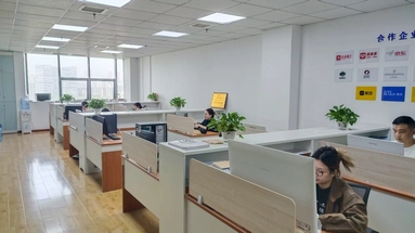 鱼泡网