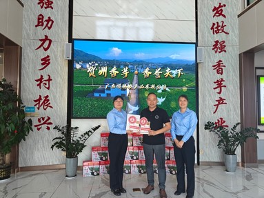 鱼泡网